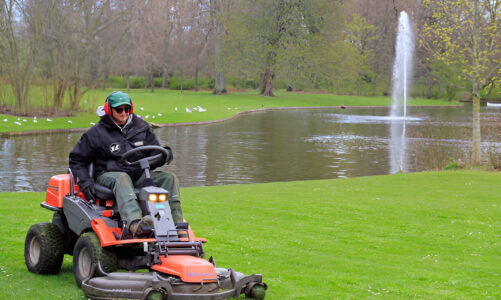 Selecting the Ideal Lawn Seeds for New Zealand Gardens 01